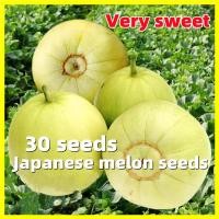 ราคา เมล็ดพันธุ์ เมล่อนแอปเปิล Japanese Melon Seeds งอกง่าย 30เมล็ด ซอง หวานฉ่ำ เมล็ดพันธุ์เมล่อนแอปเปิล Rare Honey Melon Fruit Plants Seeds Fruit Seeds for Planting Bonsai Fruit Tree Seeds เมล็ดแอปเปิ้ลเม