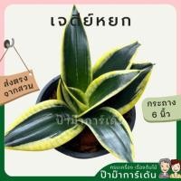 ราคา เจดีย์หยก ตระกูลลิ้นมังกร (17295302963)