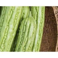 ราคา เมล็ดมะระจีน มะระจีน ซื้อ 10 แถม 1 คละอย่างได้ (6103140363)