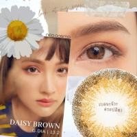 ราคา คอนแทคเลนส์ Daisy Brown Neo Cosmo รายเดือน เดซี่ สีน้ำตาล โตเล็กน้อย สวยธรรมชาติสไตล์ญี่ปุ่น รายเดือน (1119632046)