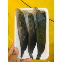 ราคา ปลาดุกร้า ปลาร้าปลาเค็ม 3 ตัว (12106143885)