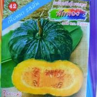 ราคา เมล็ดพันธุ์ ฟักทอง ผิวคางคก 5 กรัม ตรา ม้ารุ้ง เนื้อหนา รสมัน เมล็ดฟักทอง ฟักทองผิวคางคก ฟักทอง (20915059861)