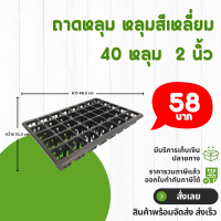 ราคา กระถาง กระถางต้นไม้ ถาดหลุม สี่เหลี่ยม เบอร์ 2 2 5 3 นิ้ว 12 18 30 40 หลุม สีดำ สีขาว สีเทา สีอิฐ (20845402248)