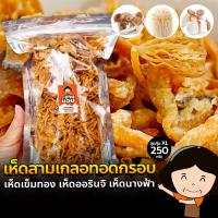 ราคา เห็ดสามเกลอทอดกรอบ เห็ดออรินจิ เห็ดเข็มทอง เห็ดนางฟ้า 250g ดั้งเดิม เผ็ด ต้มยำ ชีส ซาวครีม วิงซ์แซ่บ เกาหลี หม่าล่า ขนม เห็ด ลูกยายนอม (12952884401)