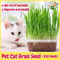 ราคา เมล็ดหญ้าแมว เมล็ดข้าวสาลี เมล็ดพันธุ์ 100 เมล็ด Natural Organic Cat Grass Seeds Hydroponic Plant ออแกนิกส์ หญ้าเเมว สำหรับสัตว์เลี้ยง ข้าวสาลีแมว หญ้าแมว ต้นอ่อนข้าวสาลี สำหรับปลูกต้นอ่อนข้าวสาลี เมล