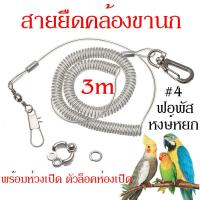 ราคา สายจูงนกพร้อมห่วงเปิดนก ห่วงใส่ขานก สายยืดคล้องขานก เชือกนกแก้ว ป้องกันนกหลุด ความยาวยืดได้สูงสุด 3 เมตร (18906395820)
