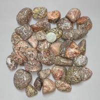 ราคา หินแจสเปอร์ลายเสือดาว Leopard skin jasper 1 ก้อน (19380602596)