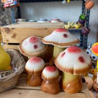 ราคา เซรามิคแต่งสวน เห็ดแต่งสวน เซรามิค ตกแต่งสวนน่ารักๆ ชุดเห็ดแต่งสวน แต่งสวนหน้าบ้าน เซรามิคเห็ดเซต 5 ชิ้น (20850254992)