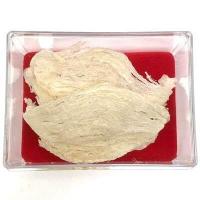 ราคา รังนกเกรดพรีเมี่ยม รังปลาหมึก เป็นธรรมชาติ (20558759219)