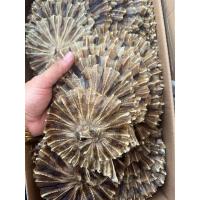 ราคา ปลากระเบนวง ปลาวงตัด แพ็ค นน 100กรัม สดใหม่ สะอาด (21338463386)