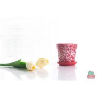 ราคา กระถาง เซรามิก ดินเผา 3 นิ้ว เกรด A เคลือบลายจุดกระถาง เซรามิค กระถางแคคตัส กระถางกระบองเพชร สไตล์มินิมอล สไตล์โมเดิร์น (14364101402)