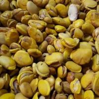 ราคา ถั่วแปหล่อทอด 200 กรัม (19534865429)