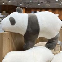 ราคา MUJI Muji Panda Cushion Pillow Small (20046084925)