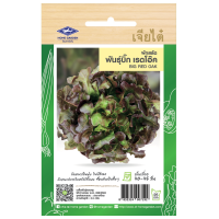 ราคา เมล็ดผักสลัด เจียไต๋ เมล็ดพันธุ์ กรีนคอส เรดโอ๊ค กรีนโอ๊ค ฟิลเล่ย์ สลัดมิกซ์ เรดคอส เมล็ดสลัด เมล็ดคุณภาพเกรดเอ อัตราการงอกสูง homes (16595847532)