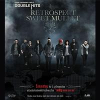 ราคา MP3 Double Hits Retrospect Sweet Mullet CD MP3 USB MP3 (16718659862)