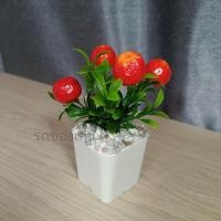 ราคา ต้นไม้ผลไม้มงคล ต้นไม้ปลอม 39 บาท 3 ต้น 100 บาท เสริมโต๊ะทำงาน ต้นส้ม ต้นแอปเปิ้ล ต้นทับทิม (14921298009)