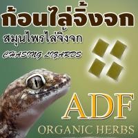 ราคา ก้อนไล่จิ้งจก ไล่จิ้งจก ก้อนไล่จิ้งจก ADF 1 ซอง มี 4 ก้อน (21034479063)