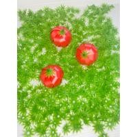 ราคา จุกมะเขือเทศ 100 ชิ้น เหรียญโปรยทาน พร้องส่ง (21327376048)