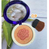 ราคา ปัดแก้ม AAC J907 เอเอซี Blusher honey nourish aac (20283885769)