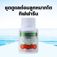 ราคา ไลโคปีน กิฟฟารีน มะเขือเทศสกัด ไลโคพีน GIFFARINE LYCOPENE ผลิตภัณฑ์เสริมอาหาร ไลโคพีน ผสม วิตามินซี (19391690527)
