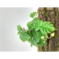 ราคา พร้อมส่ง ต้นไม้ปลอมสำหรับตกแต่งสวนต้นไม้ปลอมแขวนผนังลายนกยูงเต่าใบบีโกเนียบ้านระเบียงเถาดอกไม้สีเขียวกระถางหญ้า (21228511521)