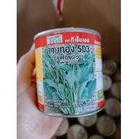 ราคา ผักกาดกวางตุ้ง สายทอง503 ต้นใหญ่ ใบหนา (19330592674)