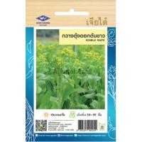 ราคา เมล็ดพันธุ์ กวางตุ้งดอกต้นขาว เจียไต๋ (20670143816)