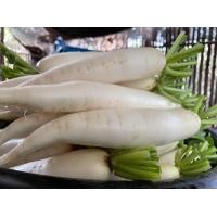 ราคา ผัดสด ผักอินทรีย์ พริก ตะไคร้ ชะอม มะเขือ ขมิ้นขาว ข้าวโพดฝักอ่อน วอเตอร์เครส ขึ้นฉ่าย ผักชี ผักบุ้ง มะนาว เก็กฮวย พริกไทยอ่อน ไชเท้า (21355995363)