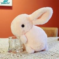 ราคา ขายร้อน ตุ๊กตาตุ๊กตากระต่าย Kawaii กระต่ายน่ารักตุ๊กตาหนานุ่มยัดไส้นุ่มสำหรับเป็นของขวัญสำหรับเด็กของตกแต่งบ้าน คืนเงินภายใน 15 วัน (21143837785)