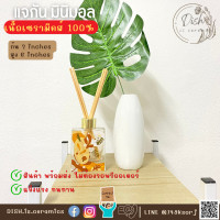 ราคา แจกันมินิมอล แจกันสีขาว แจกันเซรามิคส์ สำหรับใส่ดอกไม้สดหรือดอกไม้แห้ง ขนาด 6นิ้ว (17338279911)