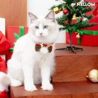 ราคา ปลอกคอปอมปอมคริสมาส สำหรับน้องหมาน้องเเมว (17150896828)