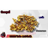 ราคา น็อตชุดสี SONIC โซนิค 1ชุด 19 ตัว น็อตชุดสีโซนิค น็อตเฟรมโซนิค น็อตชุดสีโซนิค อะไหล่แต่งรถมอเตอร์ไซต์ (16755607206)