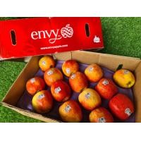 ราคา ยกลัง แอปเปิ้ลเอนวี่ อเมริกา เบอร์ 28 ลูก Envy apply USA 28 pcs พรีเมียมแอปเปิ้ล รสชาติ หวาน กรอบ อร่อย (20058762556)