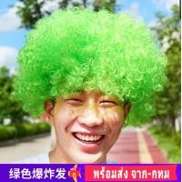 ราคา L L วิกปลอม วิกแอฟโฟร่ วิก แอฟโฟร่ หัวฟู ผมฟู เจ้าเงาะ เงาะป่า วิกเงาะ วิกผมหยิก วิกคอสเพลย์ คอสเพล ผมปลอม ผม (15141408567)