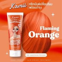 ราคา ทรีตเม้นเปลี่ยนสีผม kamii ทรีทเม้นท์เปลี่ยนสีผม BY Kamii ทรีตเม้นสีผม 120 ml (19828672068)