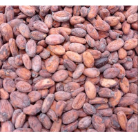 ราคา โกโก้ดิบแห้ง เมล็ดโกโก้ Dried Cacao Bean คาเคา บีน SAKAEO Origin 100 500 กรัม (15097360848)