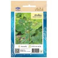 ราคา เมล็ดผักใบ กระเพรา โหระพา แมงลัก ผักเสี้ยน ผักชีลาว ผักชี ผักโขมใบกระ ผักโขมแดง ผักกาดหอมเมล็ดขาว ผักกาดหอม เจียไต๋ (19851385544)