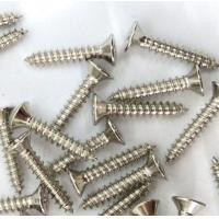 ราคา แบ่งขาย สกรูเกลียวปล่อย หัวแฉก แบน เบอร์ 6 7 8 สกรูเตเปอร์ สกรูปลายแหลม หัวเอฟ หัวเรียบ F สกรูเกลียวเหล็ก สกรูเกลียวไม้ ยิงไม้ ยาว13 75มิล 4หุน 3นิ้ว ส่งไว (21061303832)