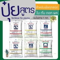 ราคา ปุ๋ยเคมี ปุ๋ยสูตร แบ่งขาย 1 กิโลกรัม 46 0 016 16 1615 15 15 25 7 79 24 2413 13 2115 0 016 20 0 (10062597837)