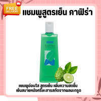 ราคา แชมพูกิฟฟารีน แชมพูมะกูด แชมพูสูตรเย็น สารสกัดจากใบมะกรูด ยาสระผมกิฟฟารีน (20416652602)