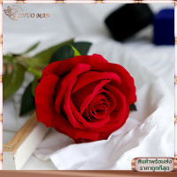 ราคา ดอกไม้ ดอกไม้ตกแต่งบ้าน กุหลาบ ดอกกุหลาบ ดอกไม้ปลอม ดอกไมประดิษฐ์ ดอกกุหลาบปลอม ดอกไม้ประดิษฐ์ดอกกุหลาบ Rose ดอกกุหลาช่ยาว ดอกไม้ตกแต่งบ้าน (20914289782)