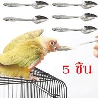 ราคา ช้อนป้อนลูกนก ช้อนป้อนอาหารนก ช้อนป้อนอาหารลูกนก ช้อนลูกนก ยาว 12 ซม (16795893919)