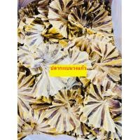 ราคา ปลาวง ปลากระเบนวง ปลาวง ปลากระเบนวงตากแห้ง ทอดกรอบอร่อย รสเค็มเล็กน้อย (21135312920)