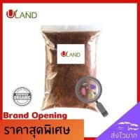 ราคา Uland ขุยมะพร้าวหมัก 500 กรัม ขุยมะพร้าวหมักจุลินทรีย์ อย่างดี (6331998858)
