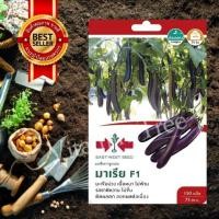 ราคา เมล็ดพันธุ์ มะเขือยาว ม่วงมาเรีย 150 เมล็ด ศรแดง (19262053968)