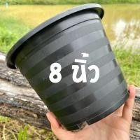 ราคา กระถางต้นไม้ กระถางพลาสติก 1 ใบ พลาสติกสีดำแบบหนา เหนียว ทนทาน แข็งแรง ไม่บุบง่าย (11002596322)