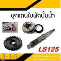 ราคา เฟืองปั้มน้ำครบชุด LS125 ชุดแกนเฟืองปั้มน้ำ ฮอนด้า แอลเอส ชุดเฟืองปั้มน้ำ 2จังหวะ honda ls125 ใบพัดเฟืองปั้มน้ำ Ls125 (19114193831)