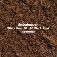 ราคา พีทมอส peatmoss 5 ลิตร ซื้อ 10ลิตร เหลือ 110บาท พีทมอสสำหรับทำดินปลูกและเพาะเมล็ด (17254462229)