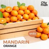 ราคา CityFresh ส้มแมนดารินไต้หวัน Wogan 36 ผลไม้นำเข้า (21338695015)