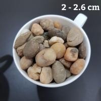 ราคา หินโรยหน้ากระถาง หินตู้ปลา หินตกแต่งตู้ปลา หินบอนไซ หินภูเขาไฟ หิน หินกรวด หินแม่น้ำ หินสี หินใส่ตู้ปลา หินตกแต่งตู้ปลา (9732047369)